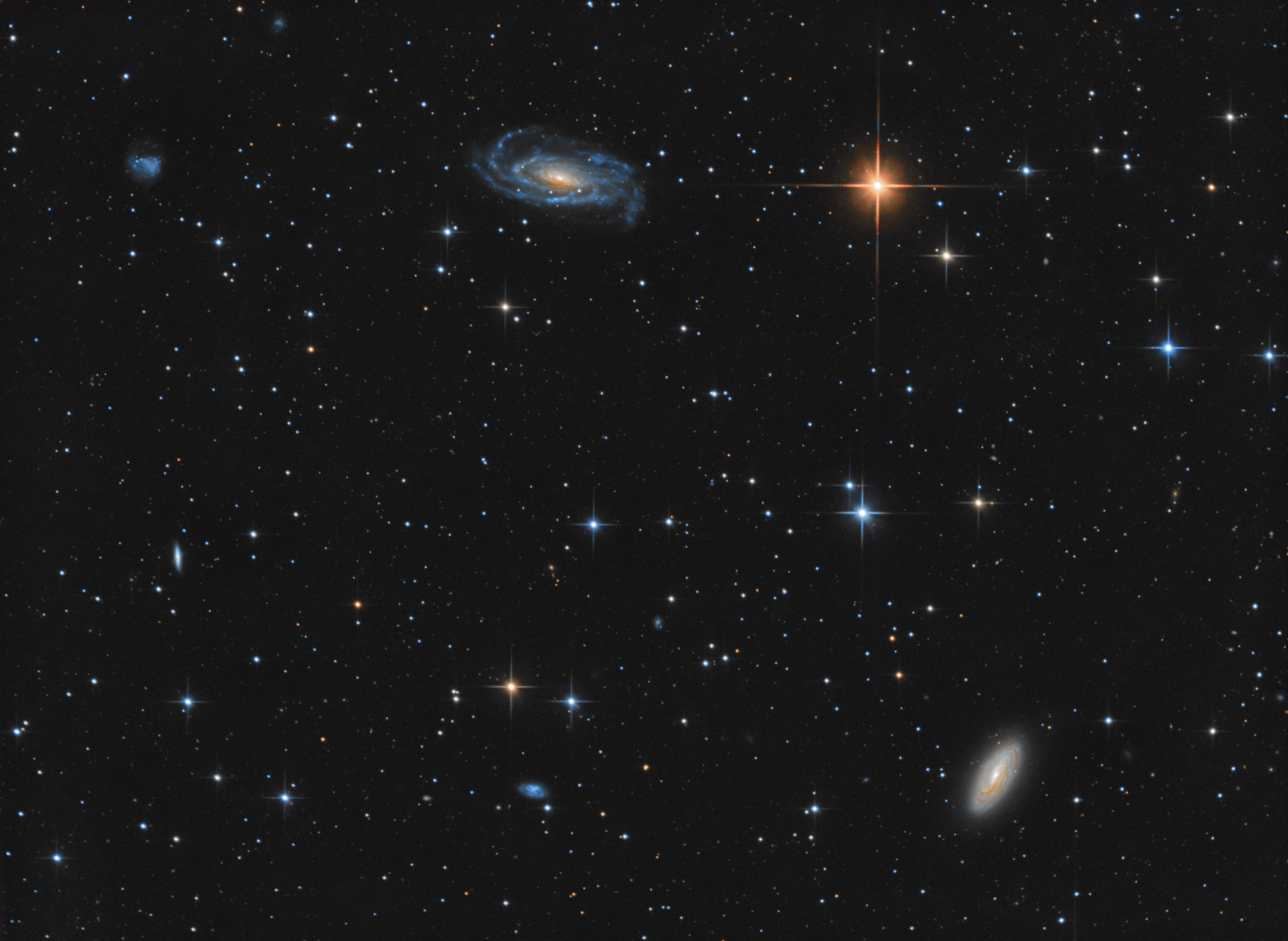 NGC 5033 and NGC 5005